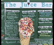 The Juice Bar