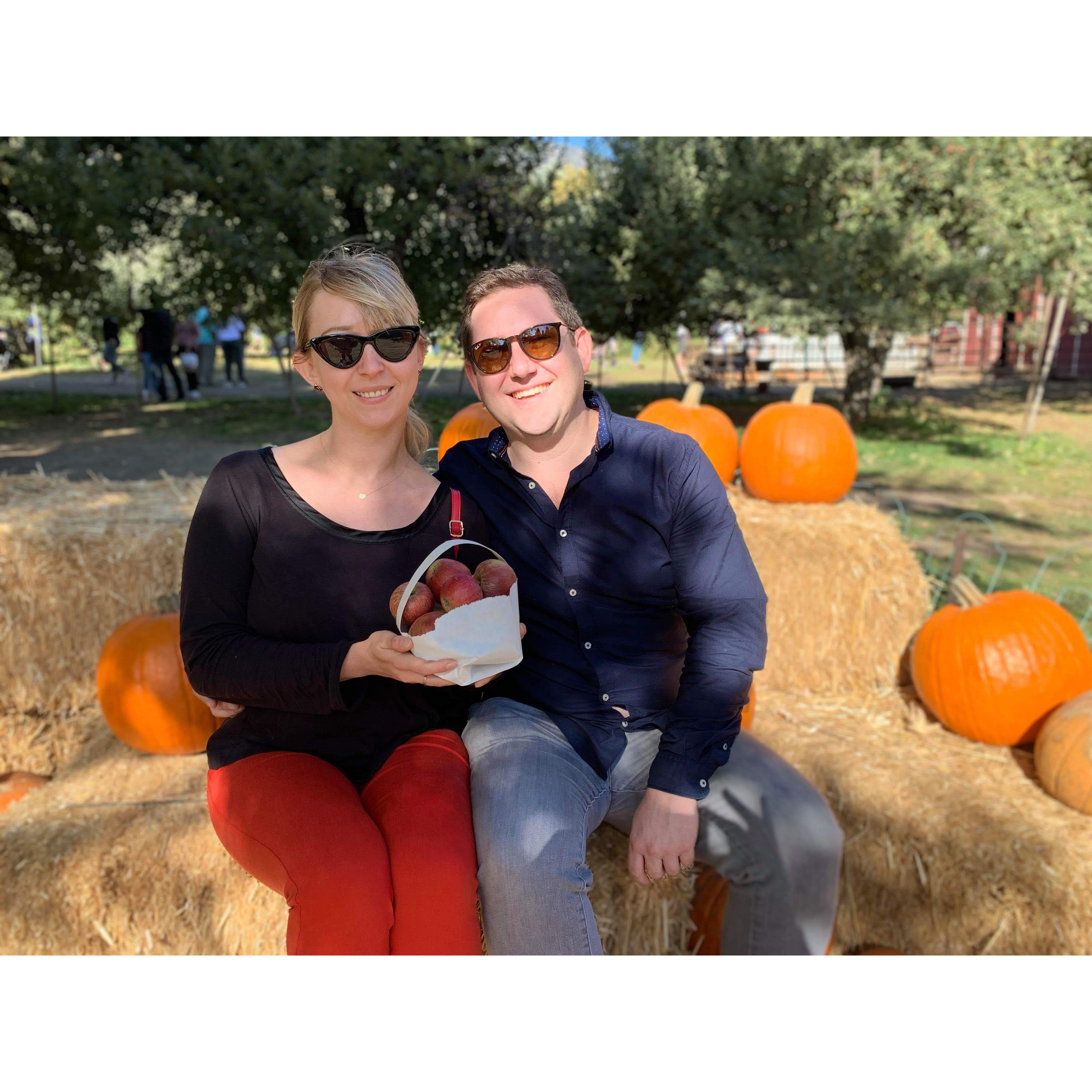 Apple farms! We enjoyed wine, fire, farm animals and picking apples.