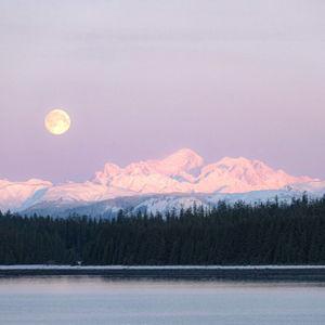 Alaskan Honeymoon Fund!