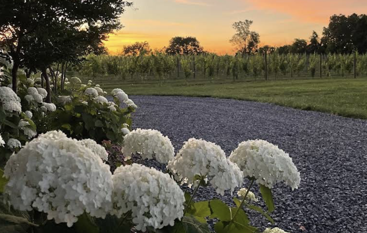 The Wedding Website of Abigail Arft and Jack Briseño