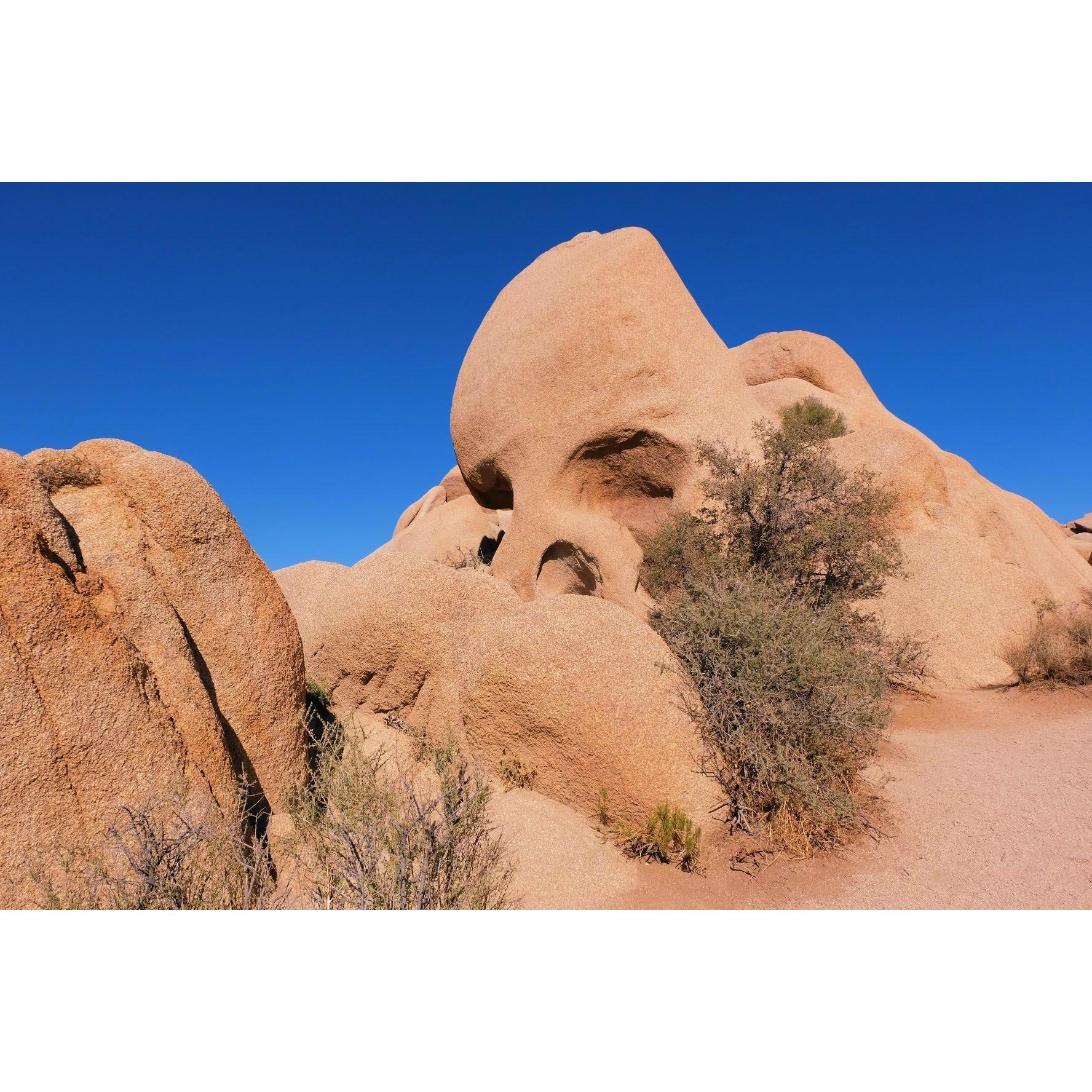 Joshua Tree