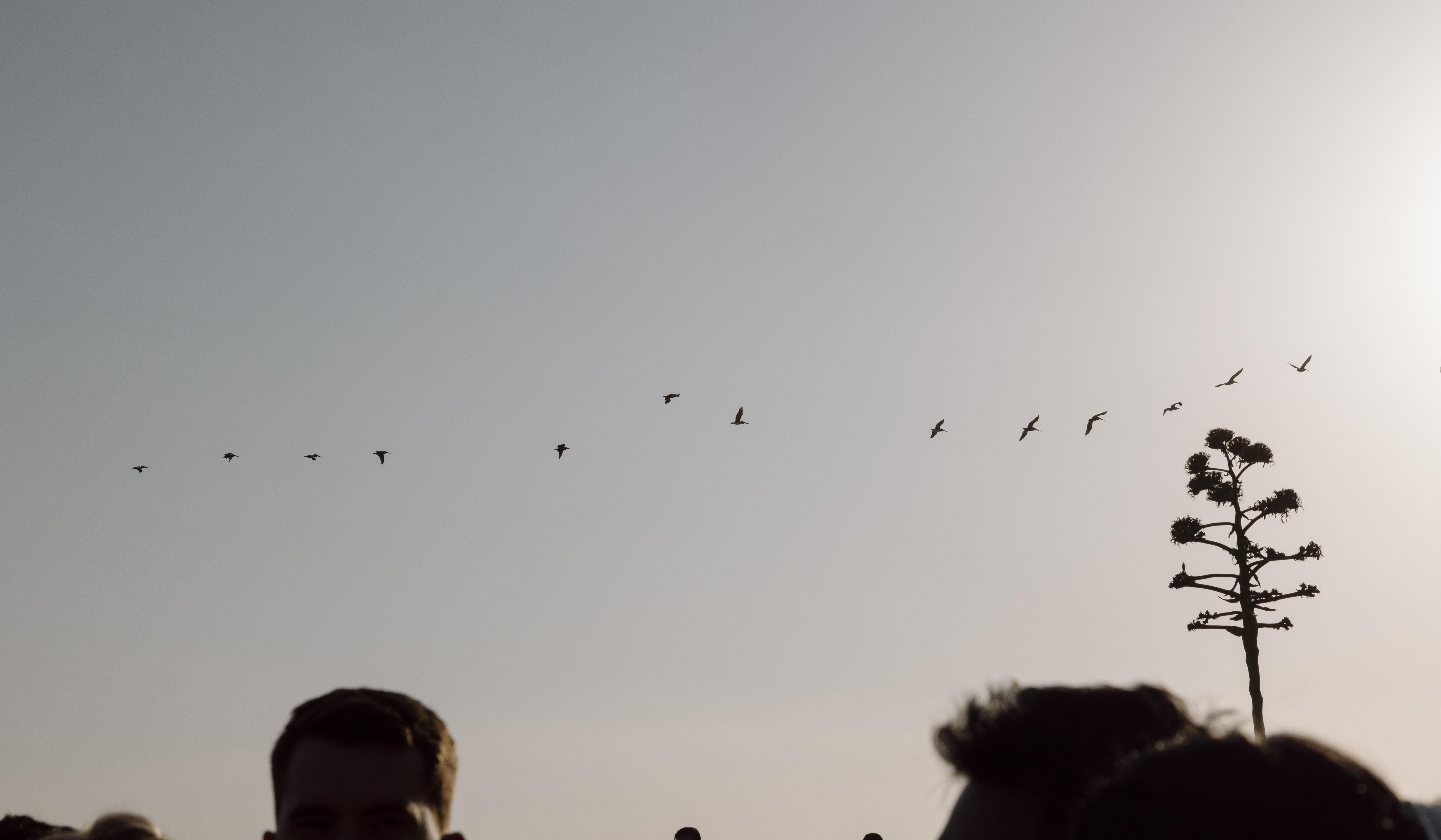 Footer image
