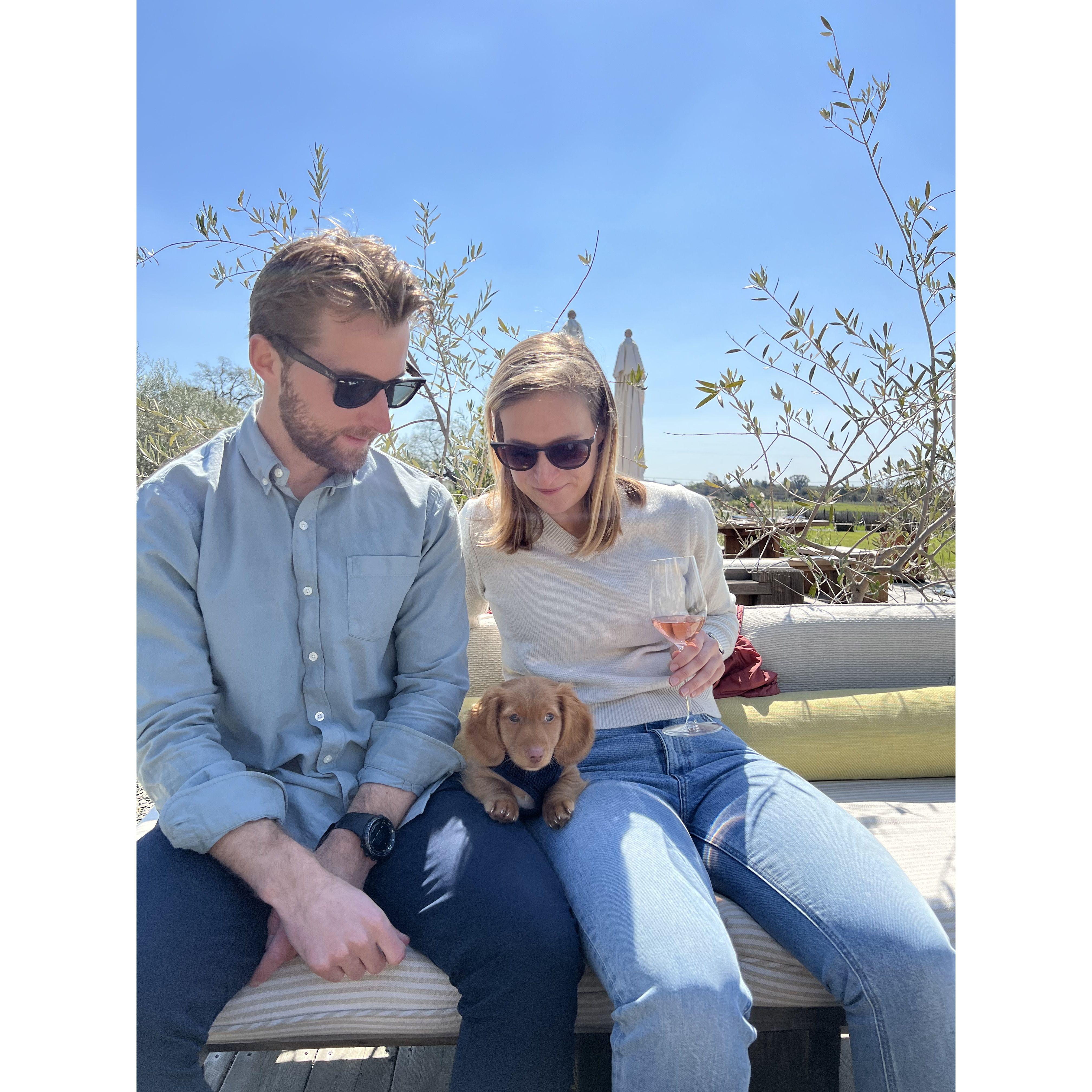 april 2023 - sonoma, ca