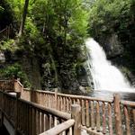 Bushkill Falls