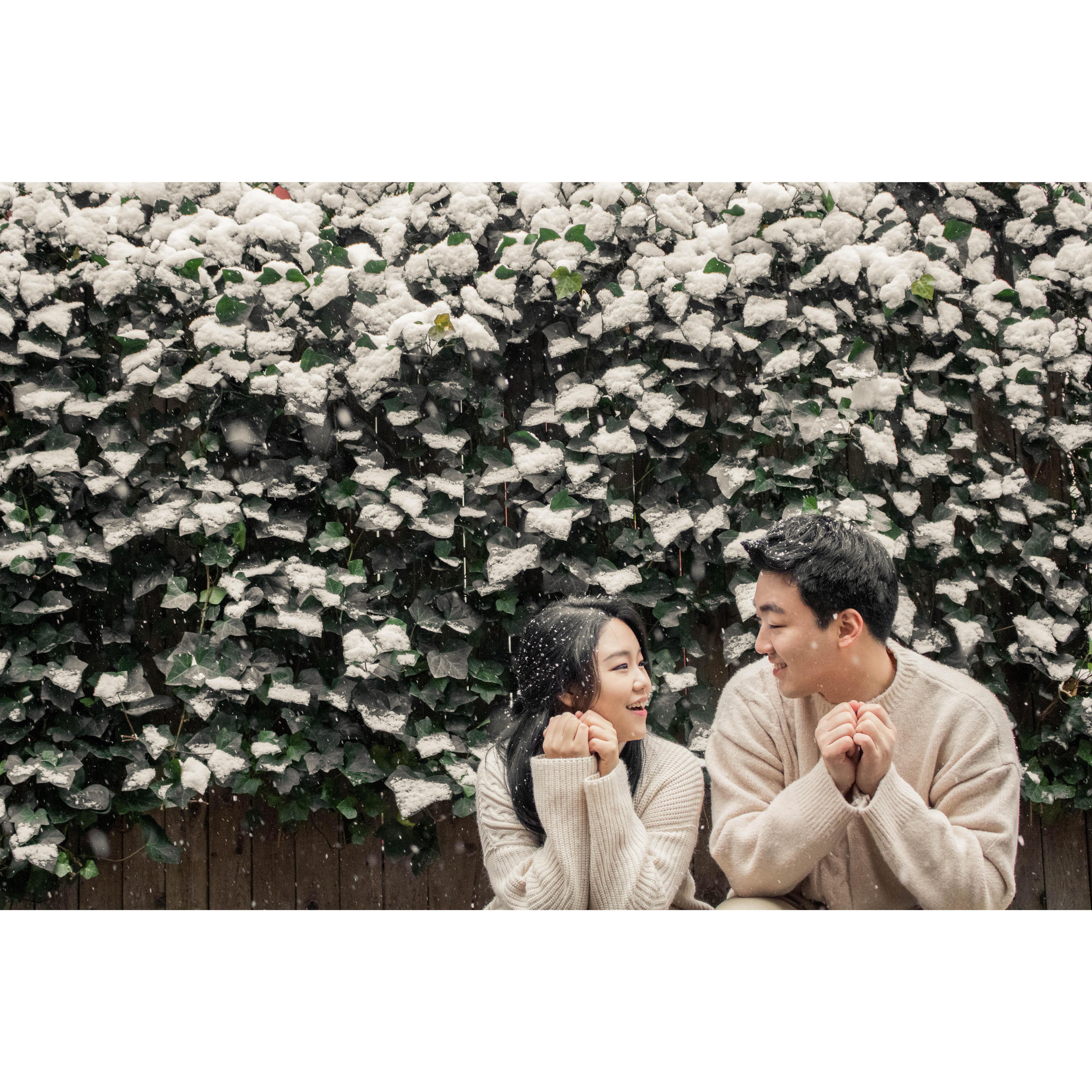 engagement photoshoot. winter 2017