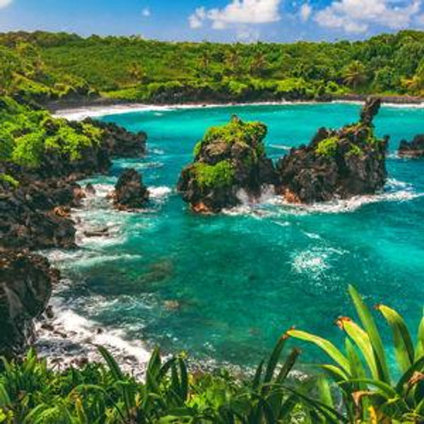 Maui 🌺 Honeymoon Fund