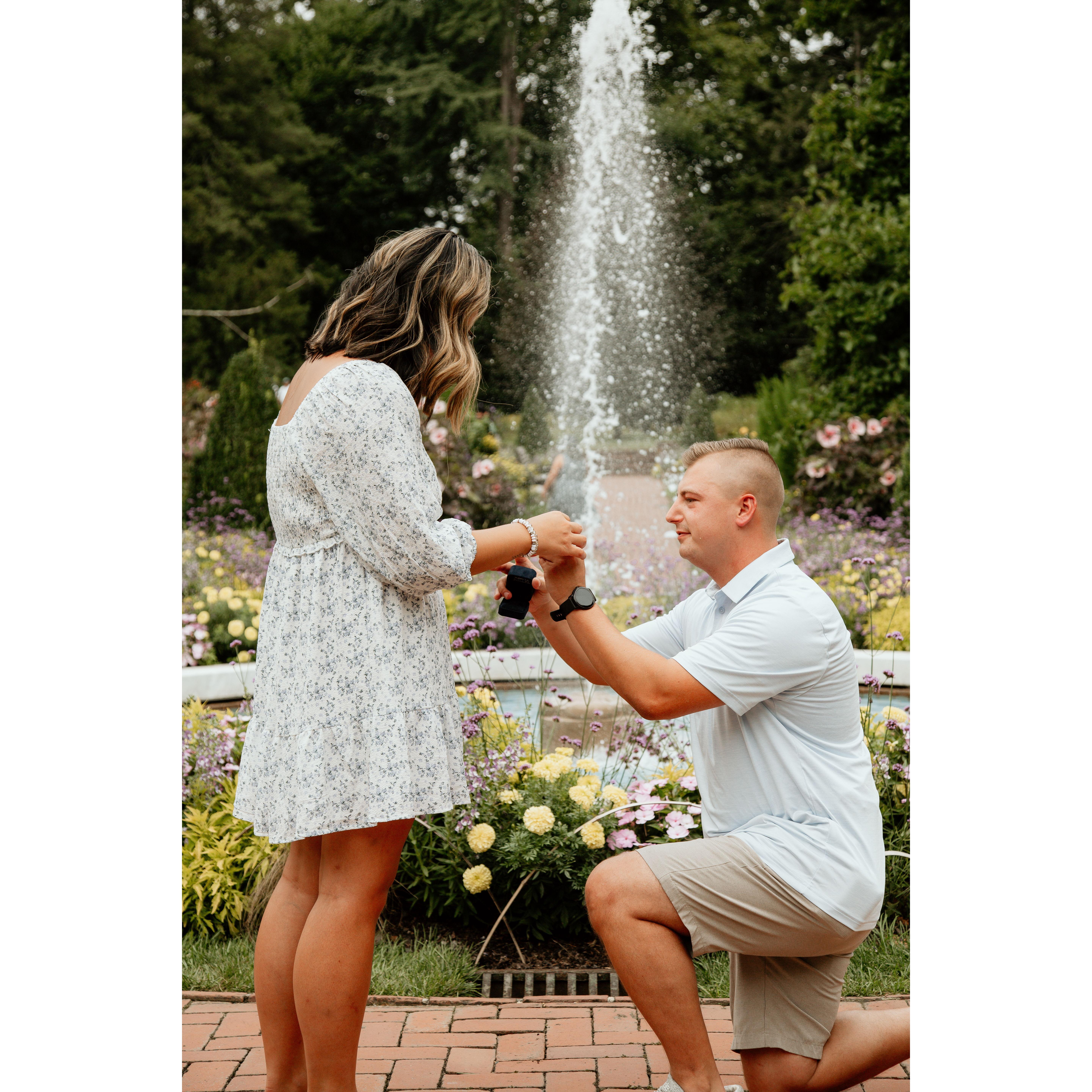 The Proposal, Longwood Gardens - July 2024