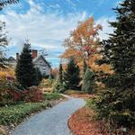 Bayard Cutting Arboretum