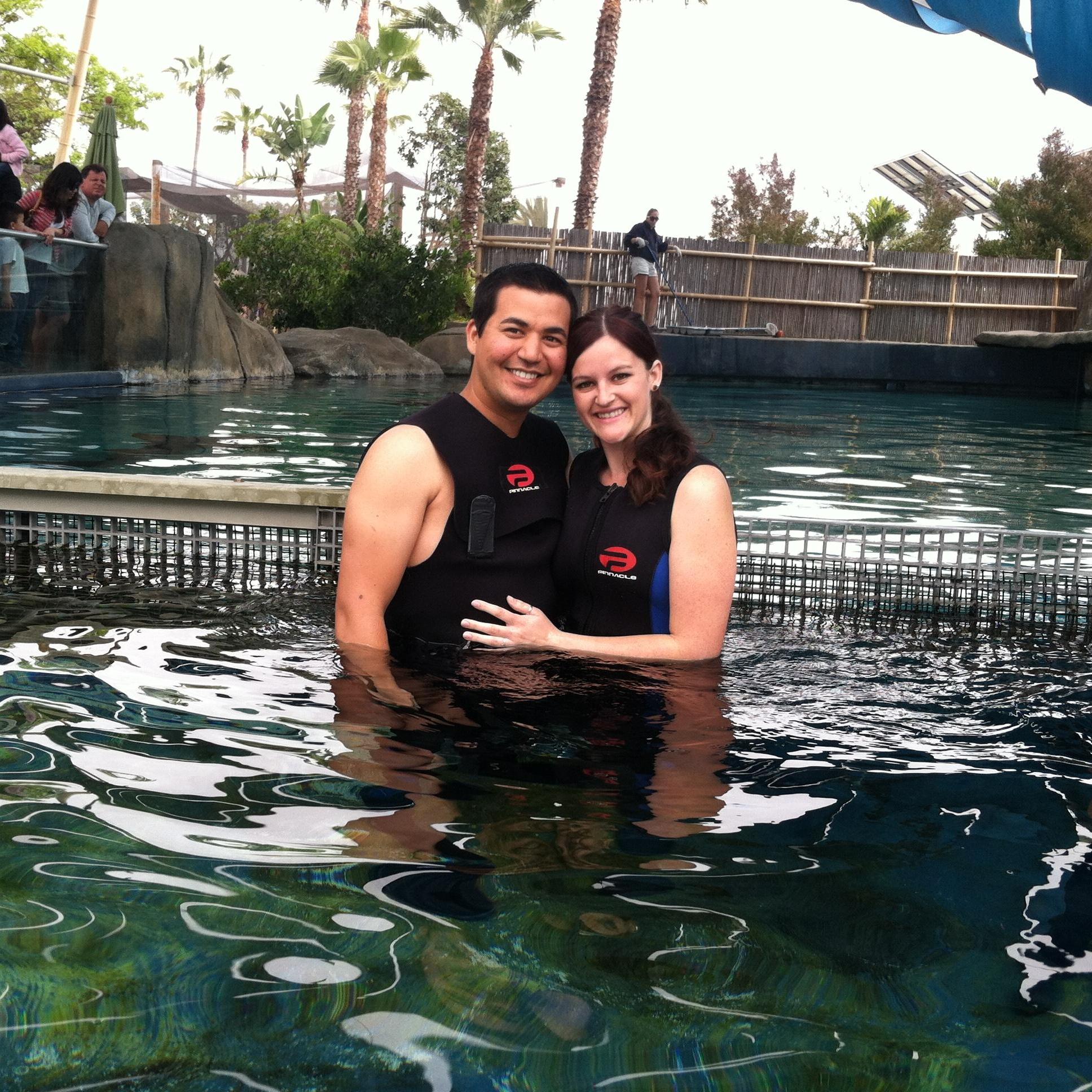 Shark Encounter at the Aquarium of the Pacific
2013