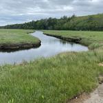Morse Mountain to Seawall Beach