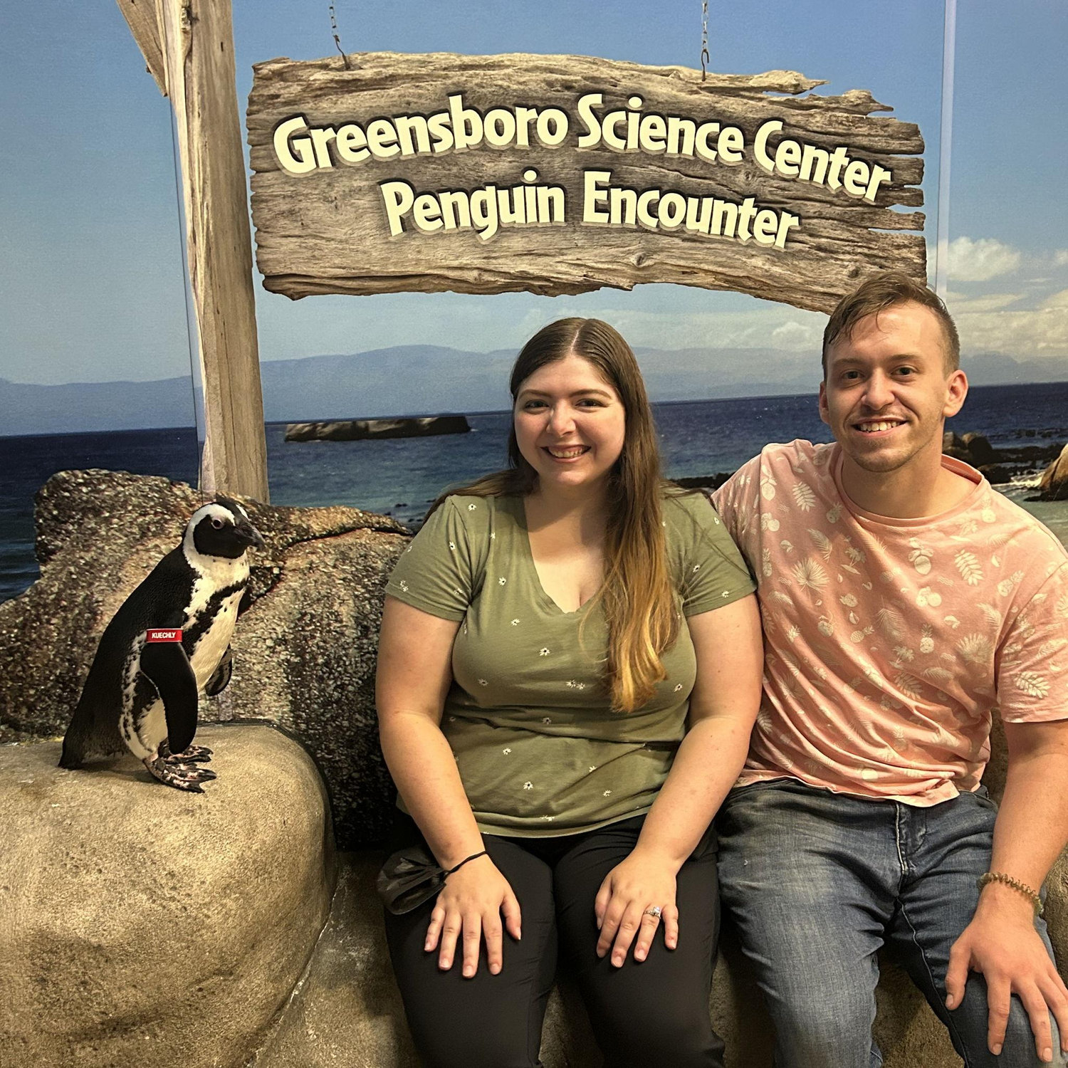 Penguin experience at the Greensboro Science Center