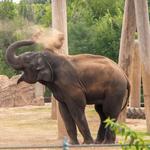 Oklahoma City Zoo
