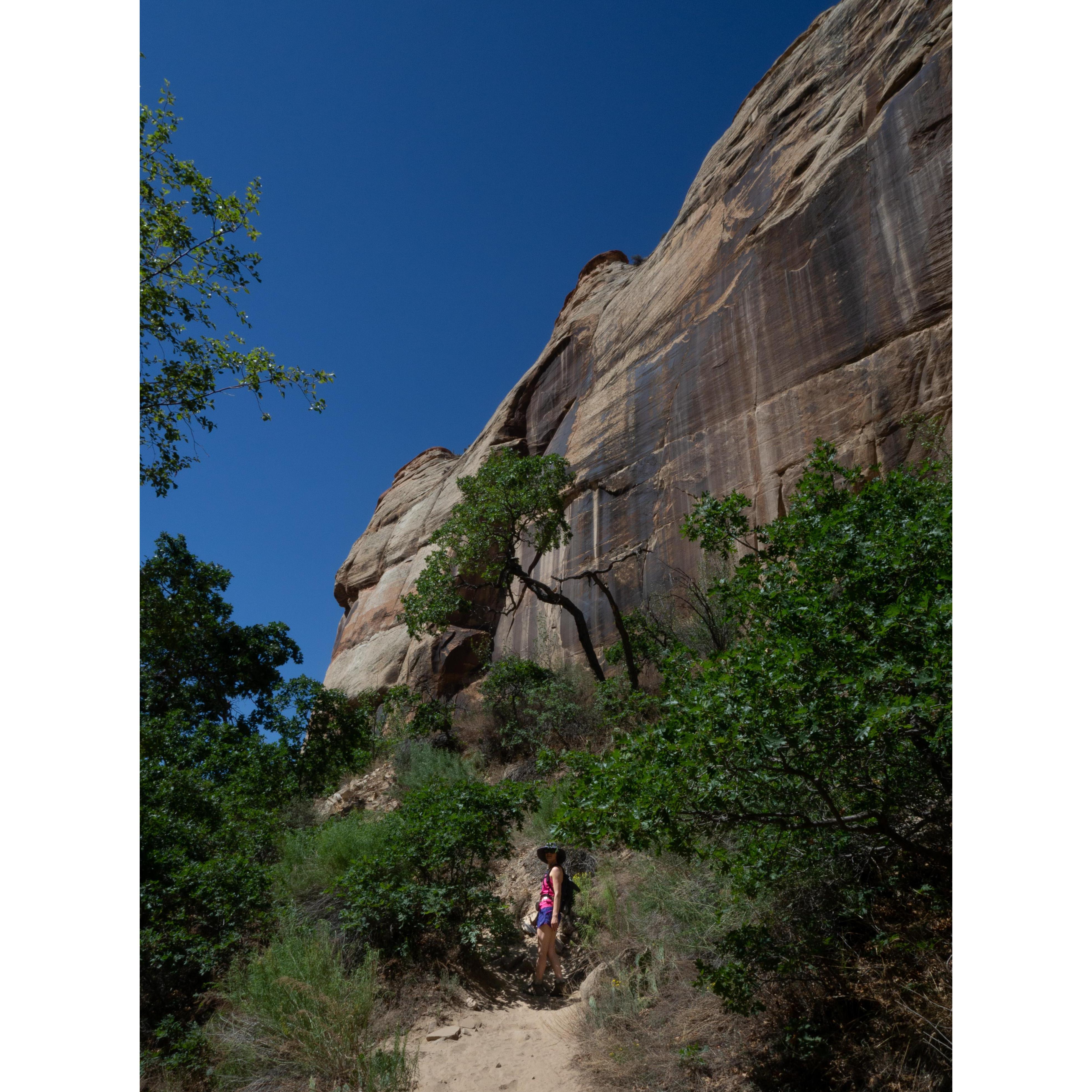 Escalante National Monument, Utah 2018