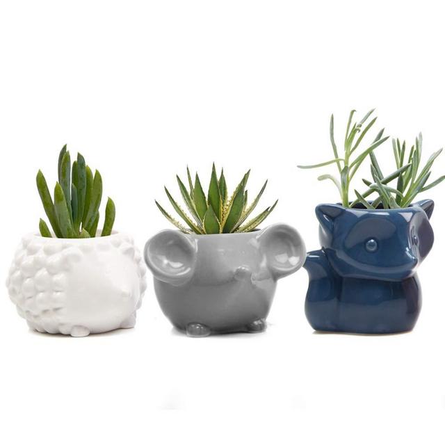 Chive - Set 3 Animal Pot Mouse, Hedgehog, Fox Shape Succulent Cactus Planter 3 Inch Ceramic Flower Plant Container, Indoor/Outdoor Garden and Home Decor,(White, Blue, Grey)