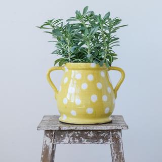 Polka Dot Terracotta Planter with Handles