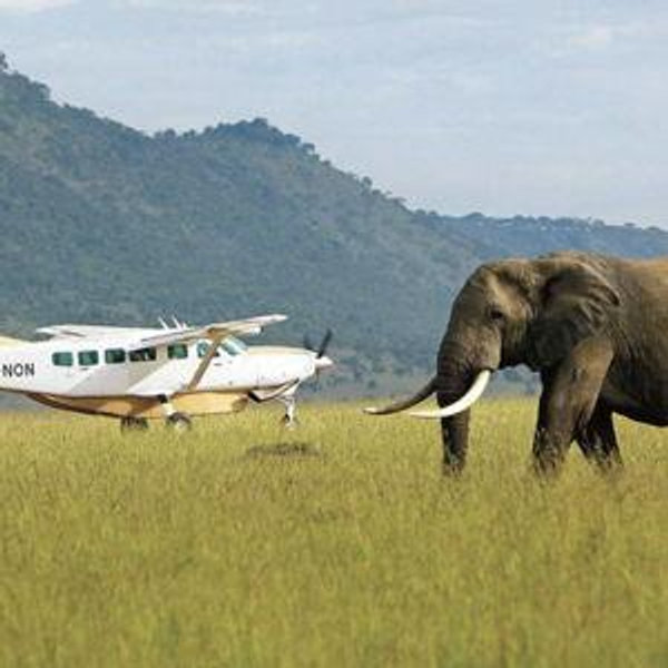 Bush Flight from Nyerere to Ruaha