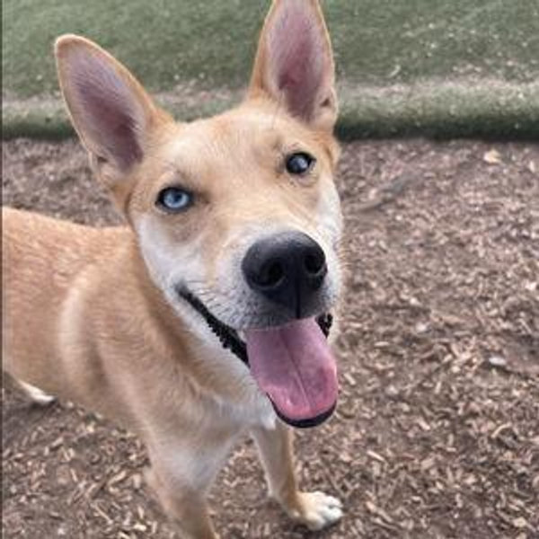 DNA test for Stewie!