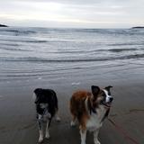 Popham Beach