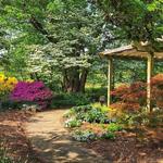 Botanical Garden of the Ozarks
