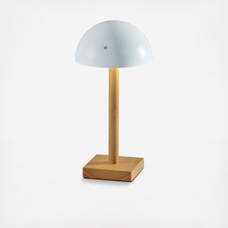 Nash LED Cordless Table Lamp