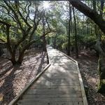 Currituck National Wildlife Refuge
