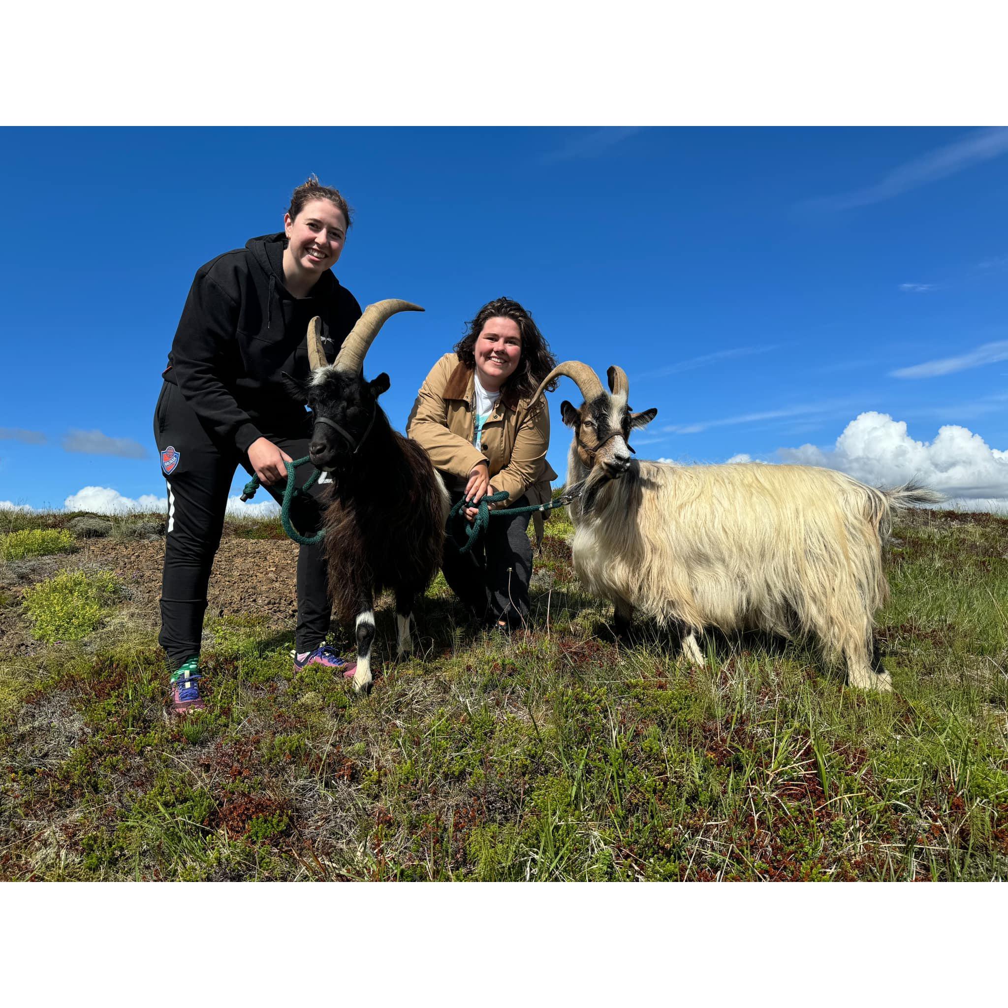 August 2024 - Taking goats on a walk