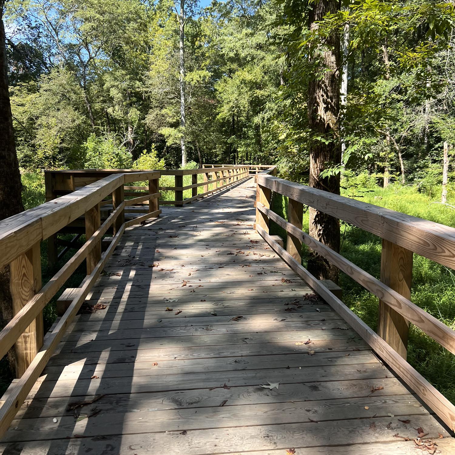 An afternoon walk on our trails