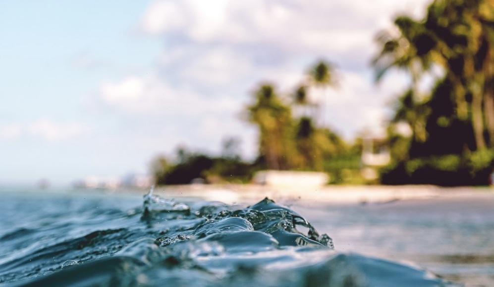 The Wedding Website of Ali Stephens and Drew Litvin