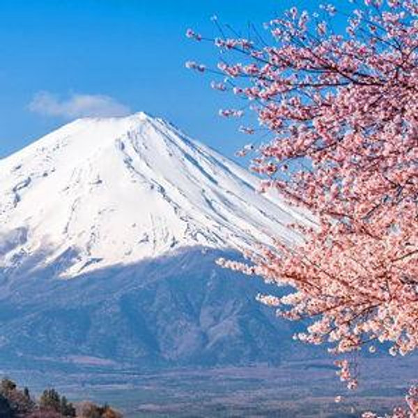 Japan Honeymoon Fund