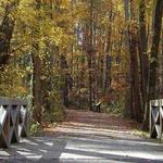 Mid-Lothian Mines Park