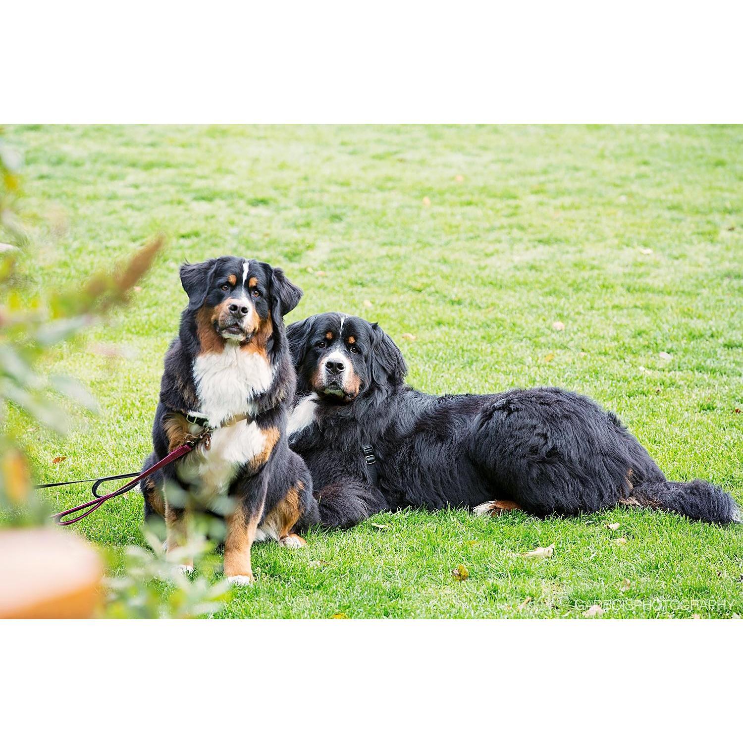 Mom, Dad... what are you guys doing and why aren't we included in any of these photos?!