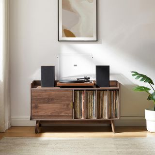 Skylar Record Cabinet with Storage Console