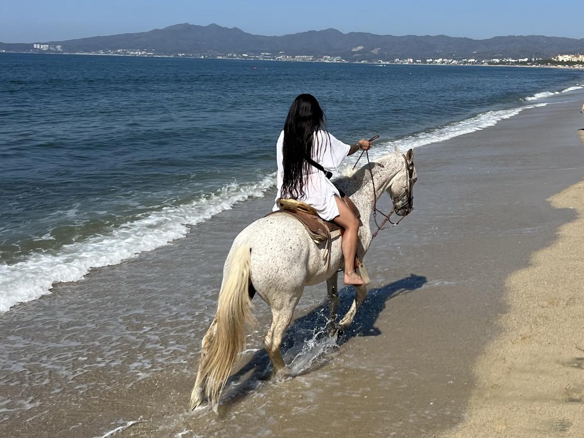 The Wedding Website of Iva Adriano and Jason Silver