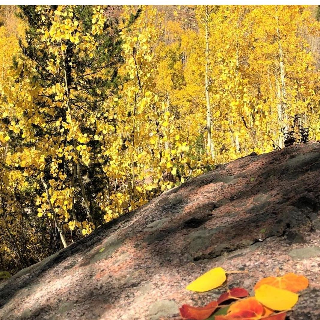We took this pic on a hike up Gore Creek this Autumn. September in Colorado is one of our favorite places to be.