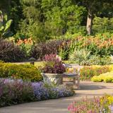 Cheekwood