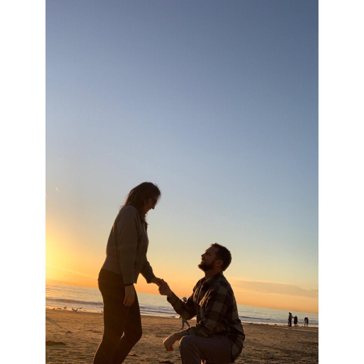 The Proposal