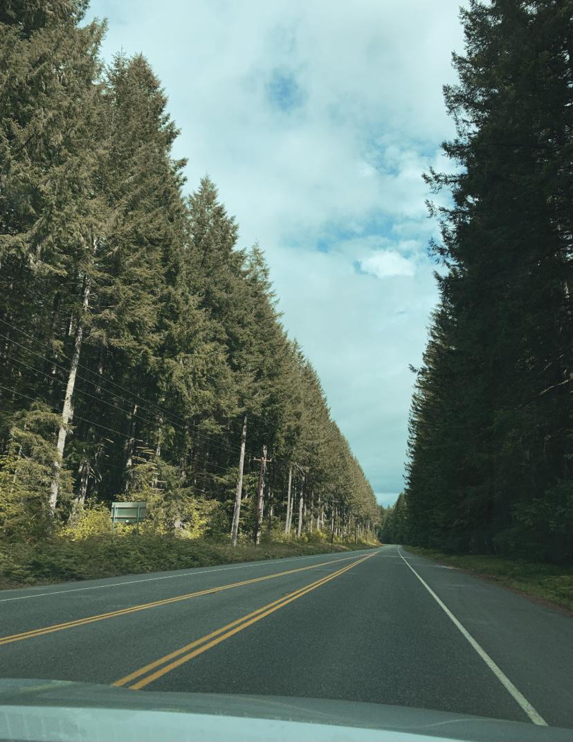 Headed to the mountain