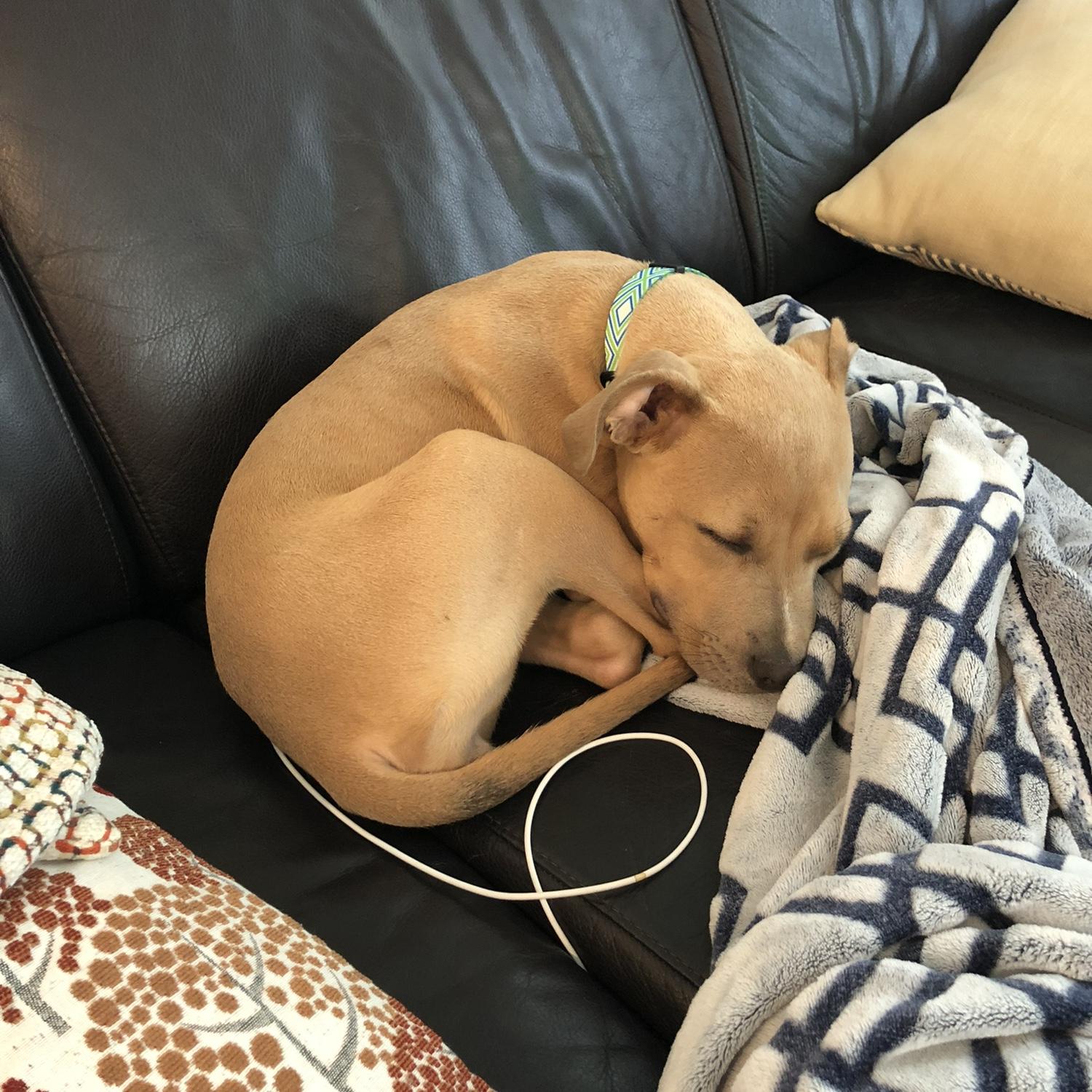 Charging up!