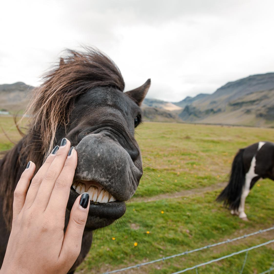 Horseback Riding On Our Honeymoon