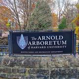 Arnold Arboretum of Harvard University