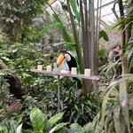 Pantropica (voorheen de Orchideeën Hoeve)