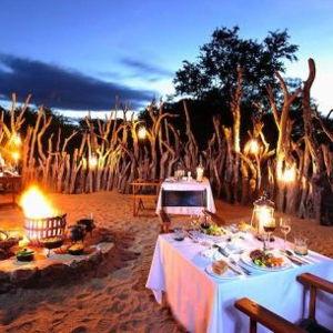 Bush Dinner Under the Stars