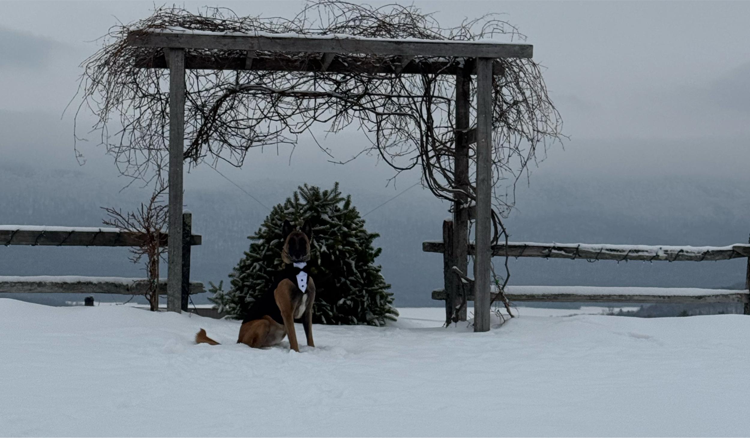 Hero Slideshow Image 2