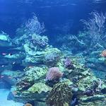 Long Island Aquarium