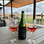 Wine Tasting