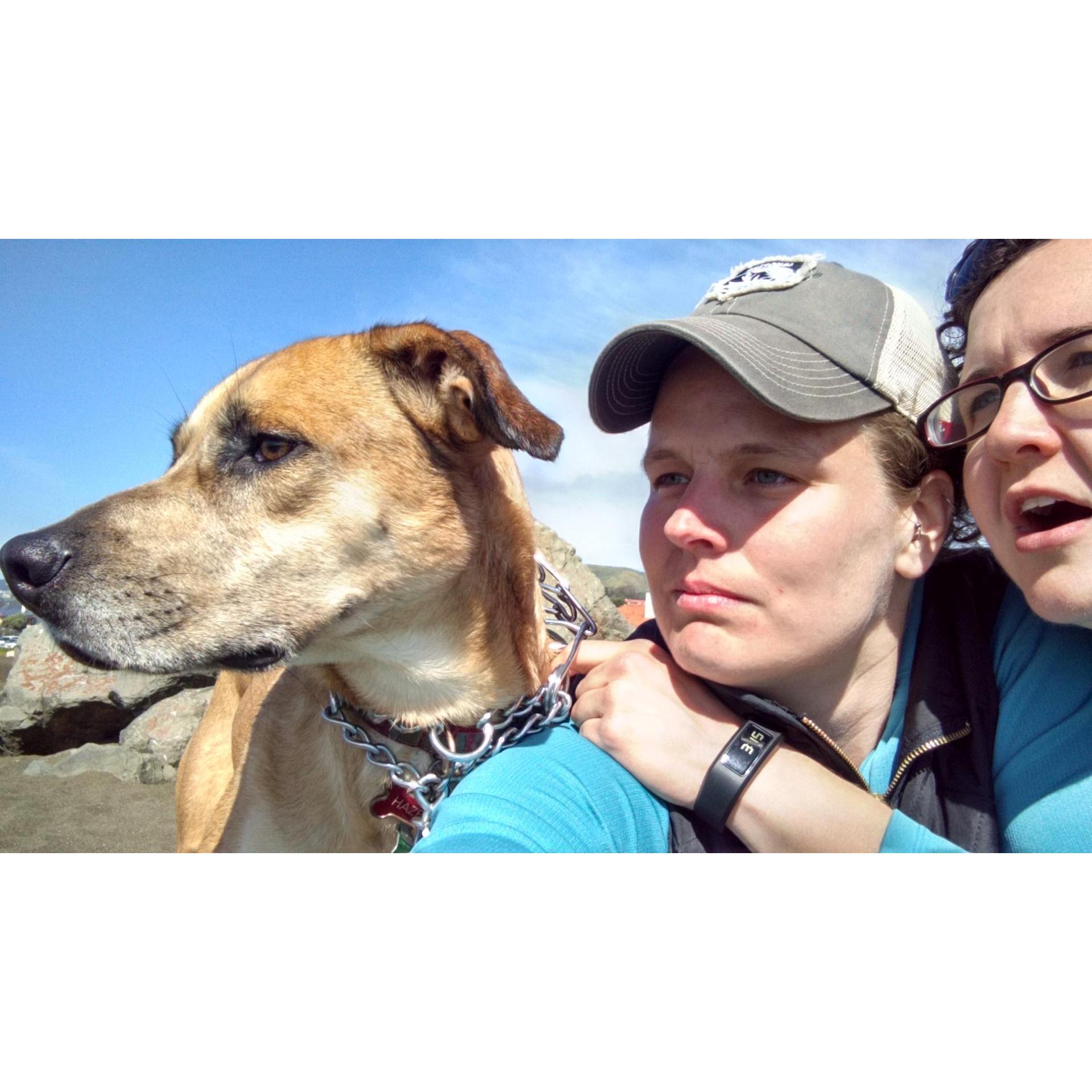 when the dog won't look at the camera, you follow the dogs lead. This is reflective of our life in general and proportional to bed space.
