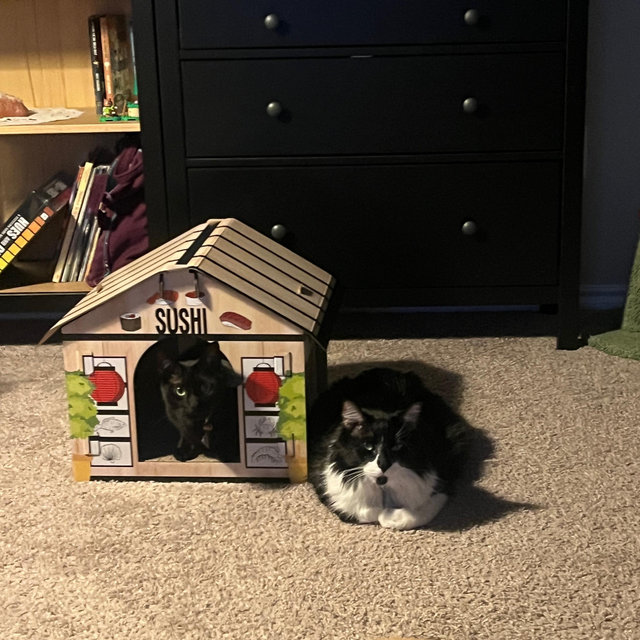 Oliver and Seymour fund