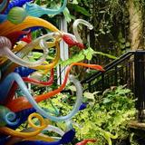 Fairchild Tropical Botanic Garden