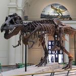 Field Museum