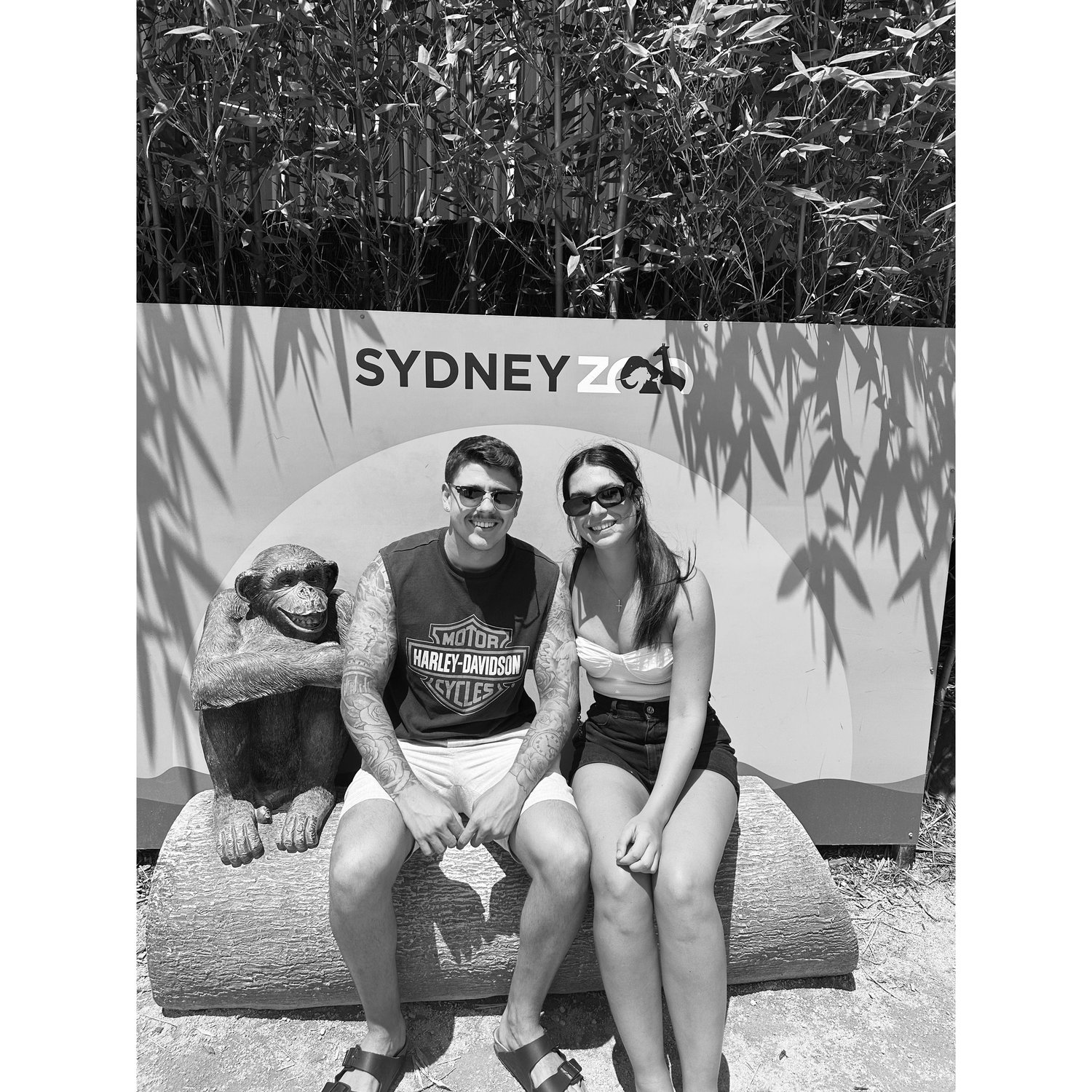 Day out at the Zoo!